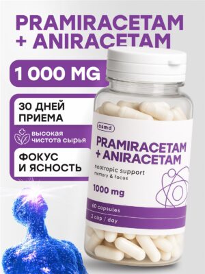 Анирацетам Прамирацетам