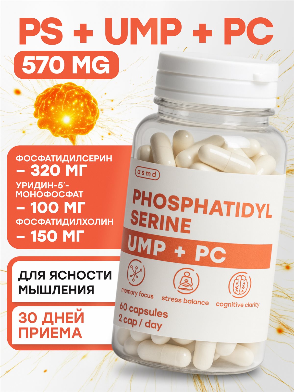Фосфатидилсерин (320 мг) + Фосфатидилхолин (150 мг)
