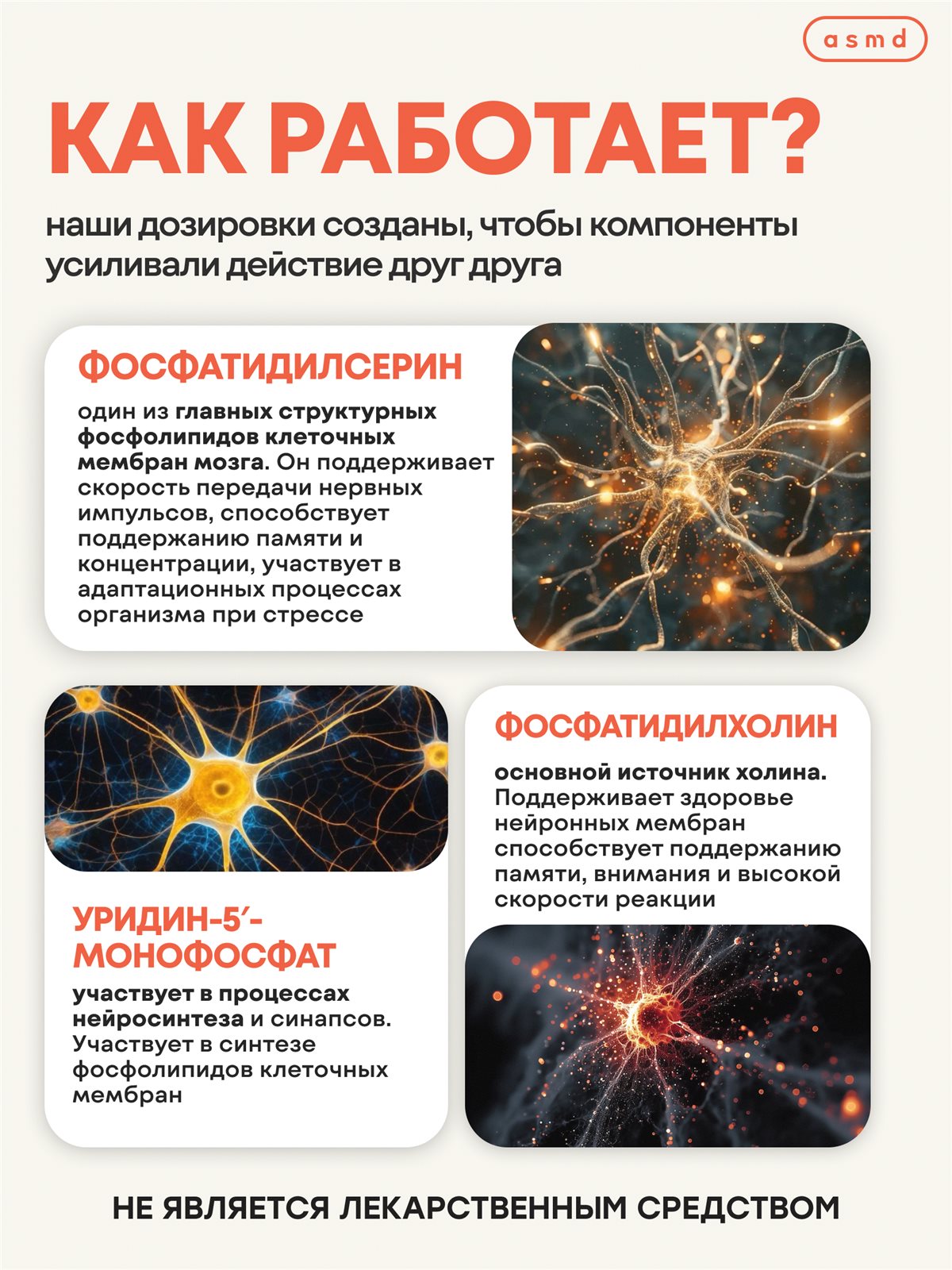 Фосфатидилсерин (320 мг) + Фосфатидилхолин (150 мг) — изображение 4